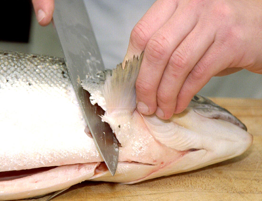 Filleting A Salmon